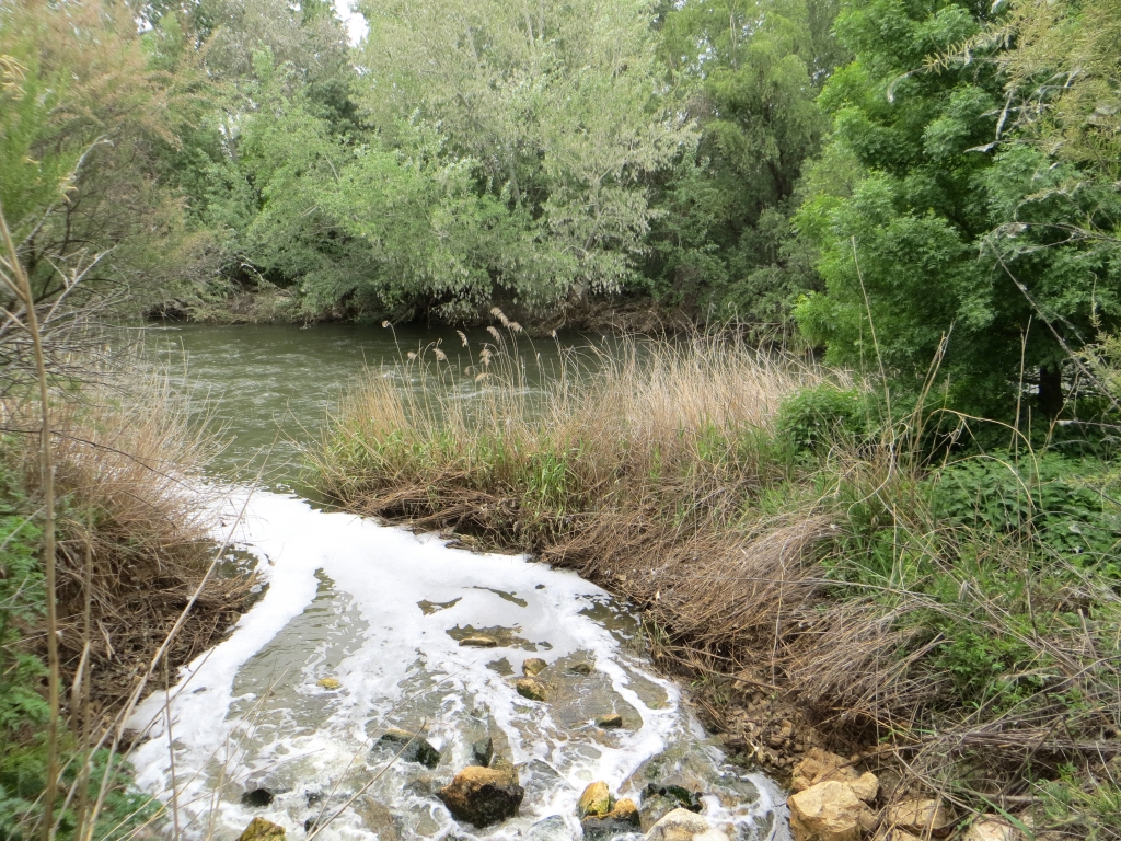 Planes de gestión del agua. Servicios- Aguas. PERSEA Soluciones Ambientales S.L.