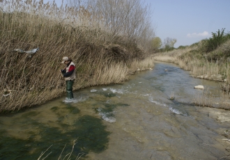 Vigilancia ambiental de un colector de la EDAR de Burgos